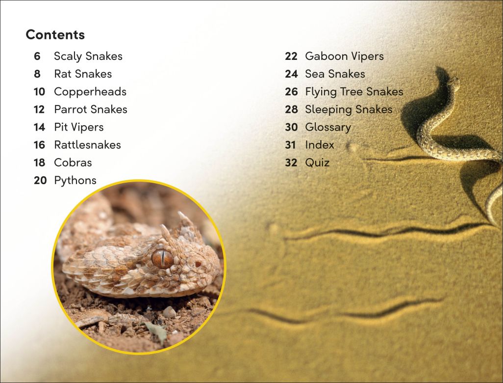 DK Super Readers Level 2: Snakes Slither and Hiss