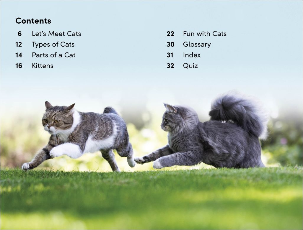DK Super Readers Level 2: Cats and Kittens