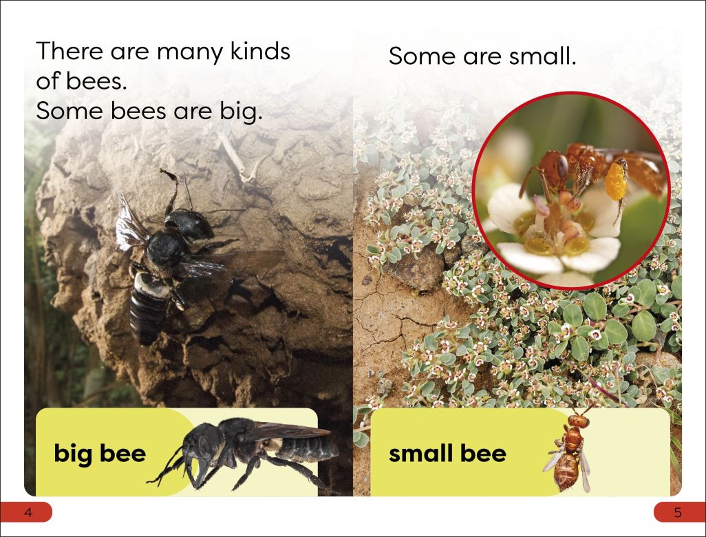 DK Super Readers Pre-Level: Save the Bees