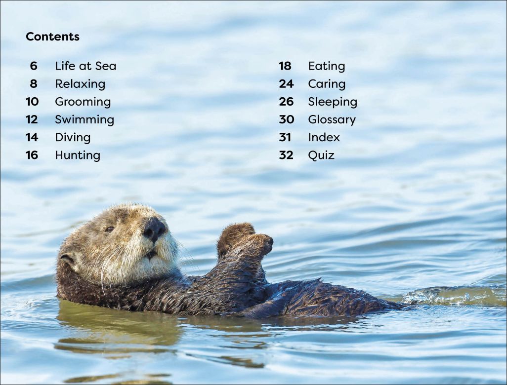 DK Super Readers Level 1: Sea Otters