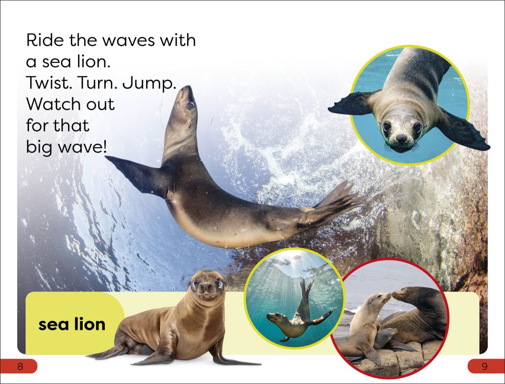 DK Super Readers Pre-Level Ocean Animals