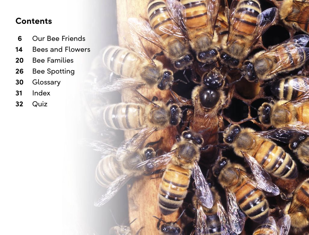 DK Super Readers Level 2: Amazing Bees