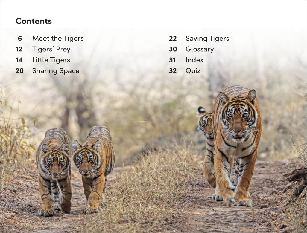 DK Super Readers Level 2: Save the Tigers