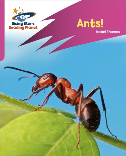 Ants!(Rocket Phonic-Target Practice): Pink A