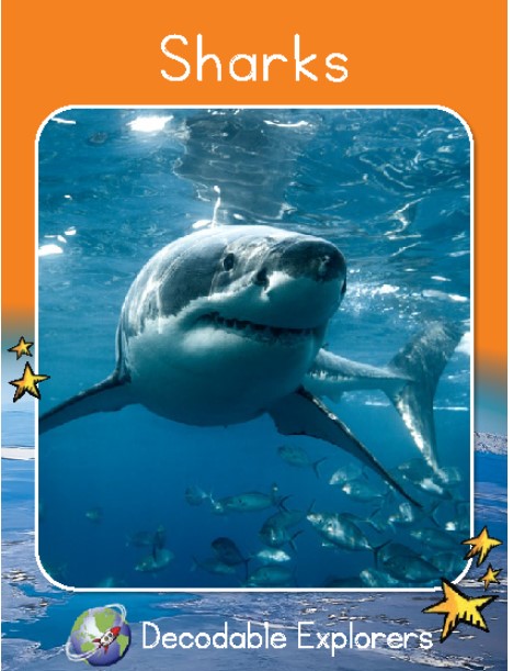 Sharks(Decodable Explorers Fluency Boost Non Fiction A)