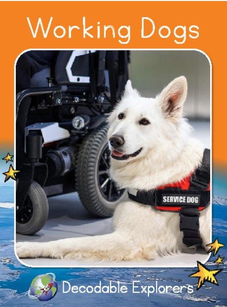 Working Dogs(Decodable Explorers Fluency Boost Non Fiction A)