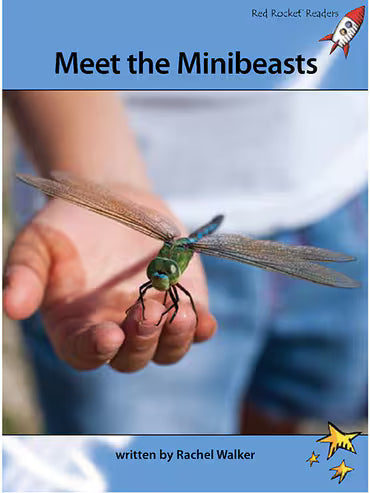 Red Rocket Advanced Fluency Level 4 Non Fiction A (Level 30):Meet the Minibeasts