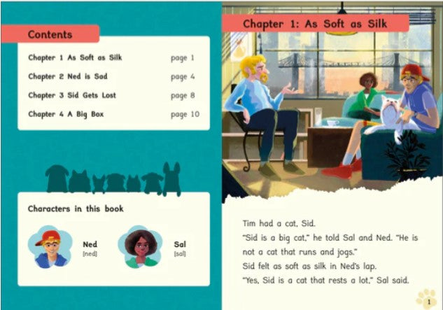 Phonic Books Pet Sitters : Adjacent consonants and consonant digraphs, and alternative spellings for vowel sounds