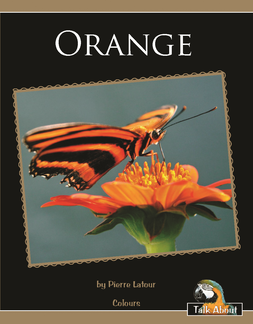 TA - Colours: Orange