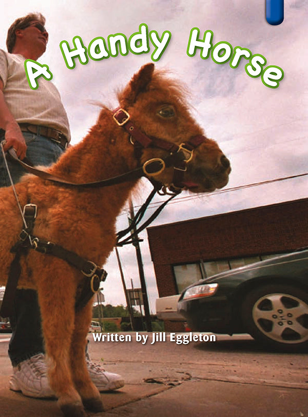 Key Links Blue Book 14, Level 10: A Handy Horse