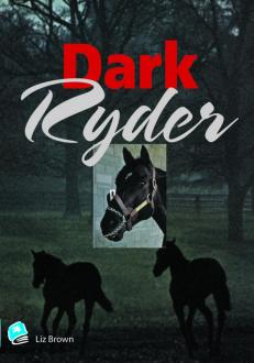 Dark Ryder