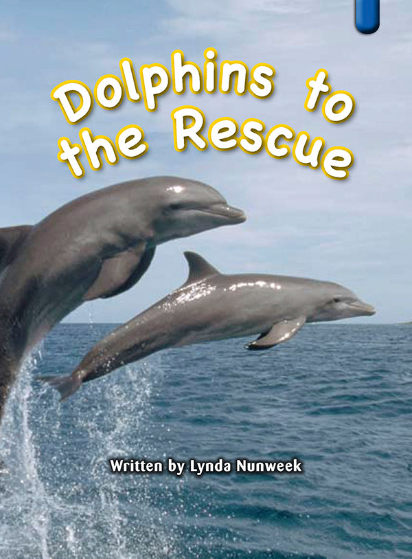 Key Links Blue Book 6, Level 9: Dolphins to the Rescue