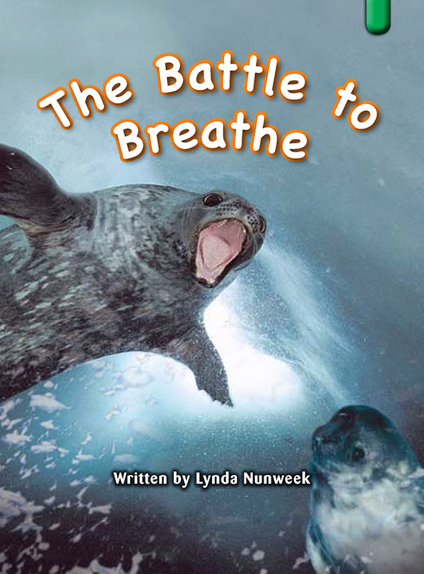 Key Links Green Book 7, Level 12: The Battle to Breathe
