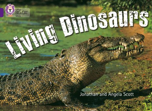 Collins Big Cat Purple(Band 8):Living Dinosaurs