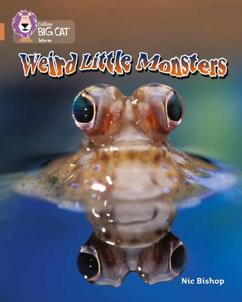 Collins Big Cat Copper(Band 12)Weird Little Monsters