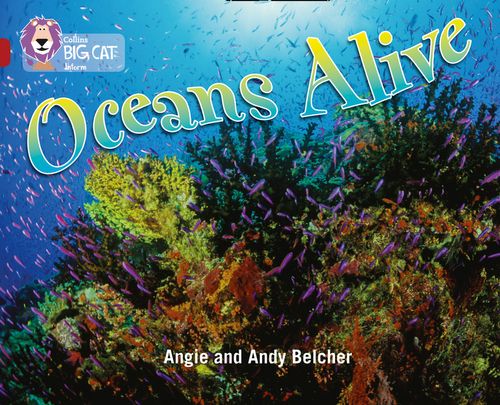 Collins Big Cat Ruby(Band 14)Oceans Alive