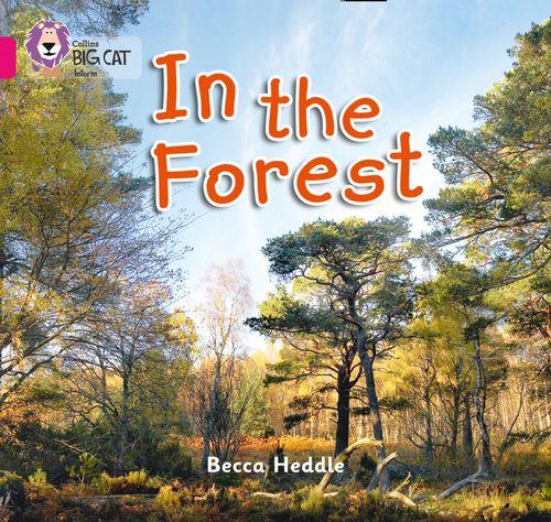 Collins Big Cat Pink 1B: In the Forest