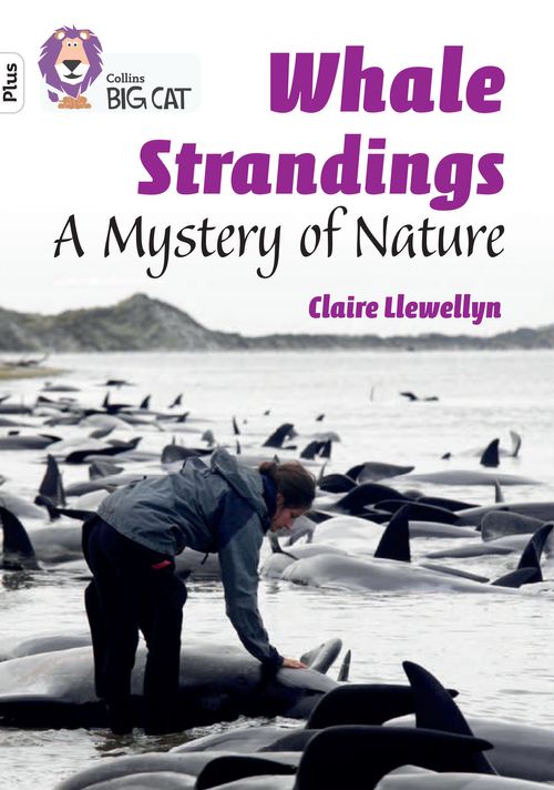 Collins Big Cat White Plus(Band 10+)Whale Strandings: A Mystery of Nature