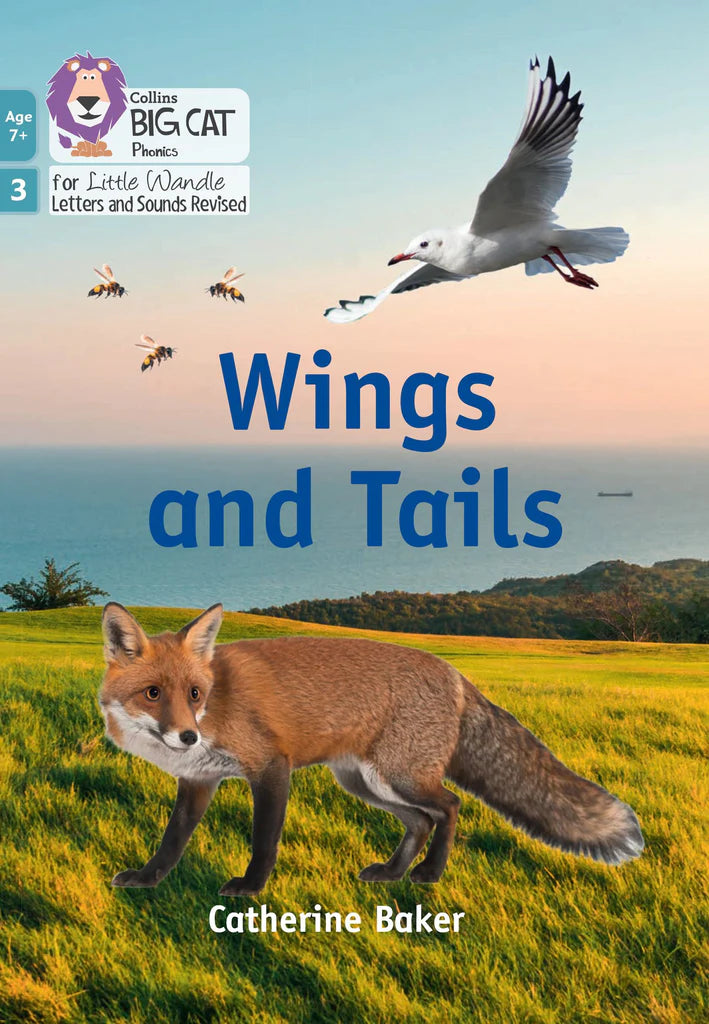 Little Wandle Rapid Catch-up Phase 3: Wings and Tails