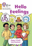 Little Wandle Rapid Catch-up Phase 5:Hello Feelings