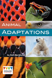 Engage Literacy L27: Amazing Adaptations