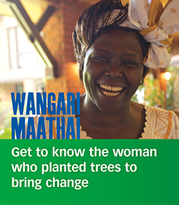 People You Should Know:Wangari Maathai(PB)