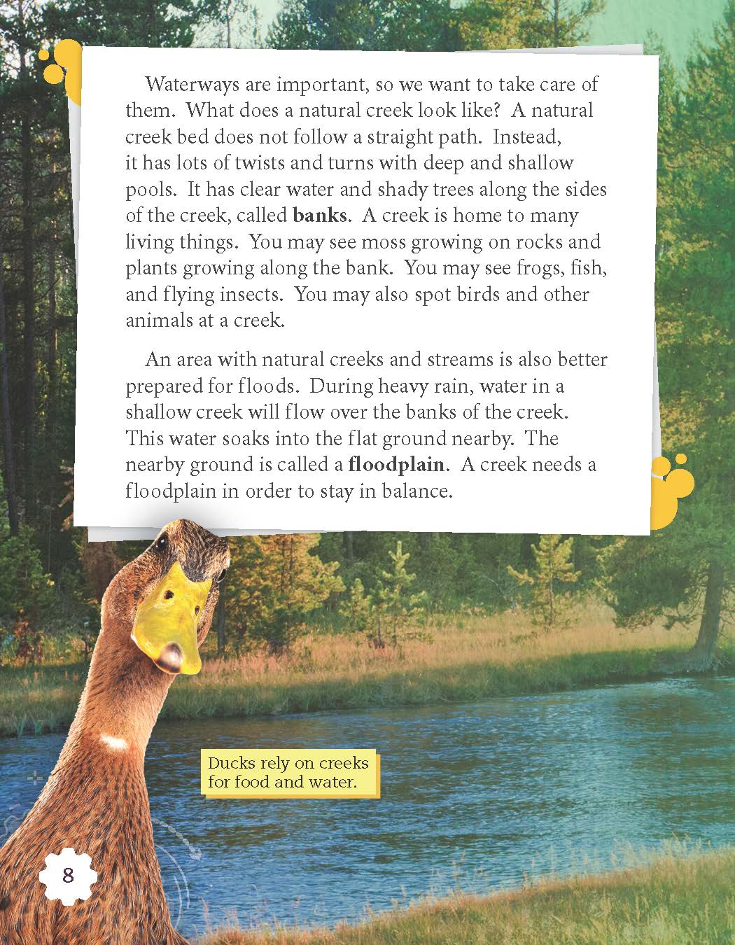 Restoring Muddy Creek (Grade 3)