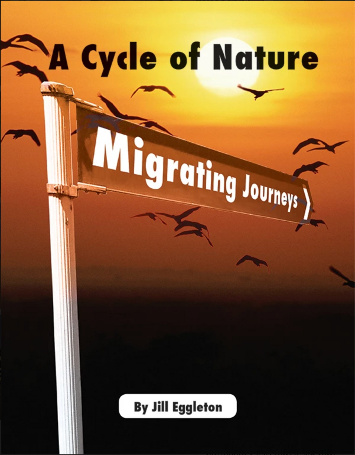 Connectors II - A Cycle of Nature Migrating Journeys