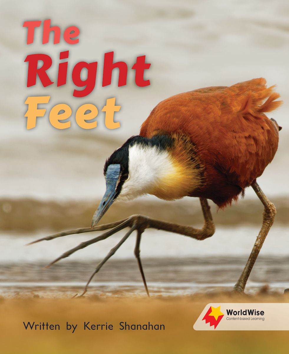 WorldWise Level 11-12:The Right Feet