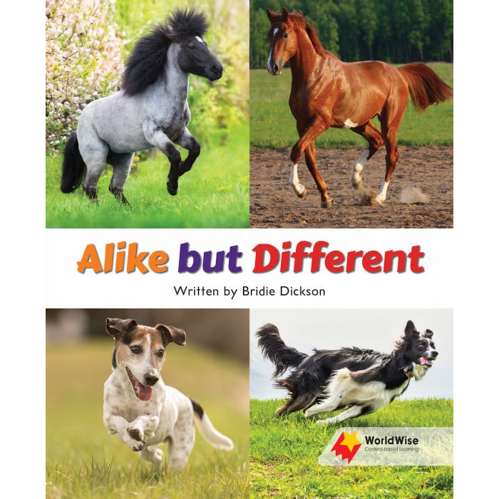 WorldWise Level 15-16:Alike but Different