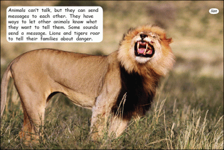 Red Rocket Fluency Level 1 Non Fiction B (Level 16): Animal Messages