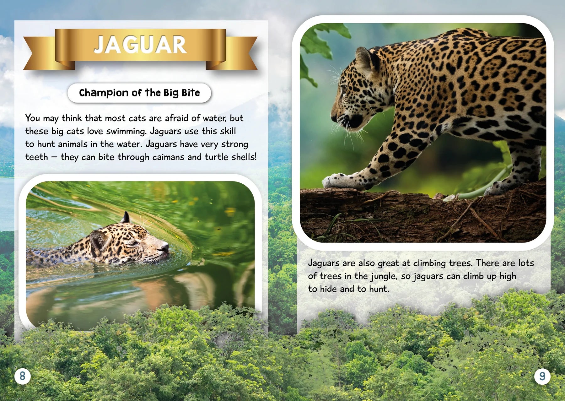 BookLife Freedom Readers: Champions of the Jungle
