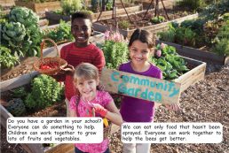 Red Rocket Fluency Level 2 Non Fiction C (Level 17): Be Kind to Bees