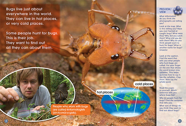 Key Links Green Book 16, Level 13: Bug Hunters