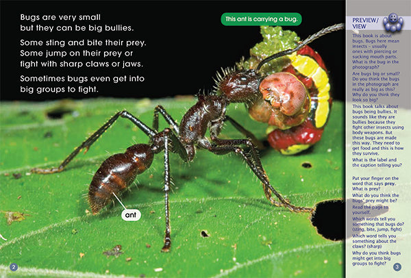 Key Links Green Book 14, Level 13: Bully Bugs