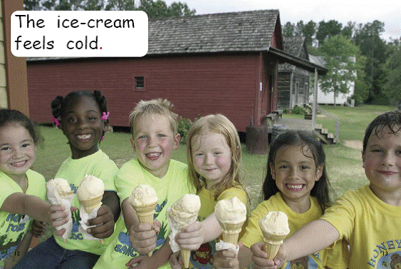 Red Rocket Emergent Non Fiction A (Level 2): What Feels Cold?