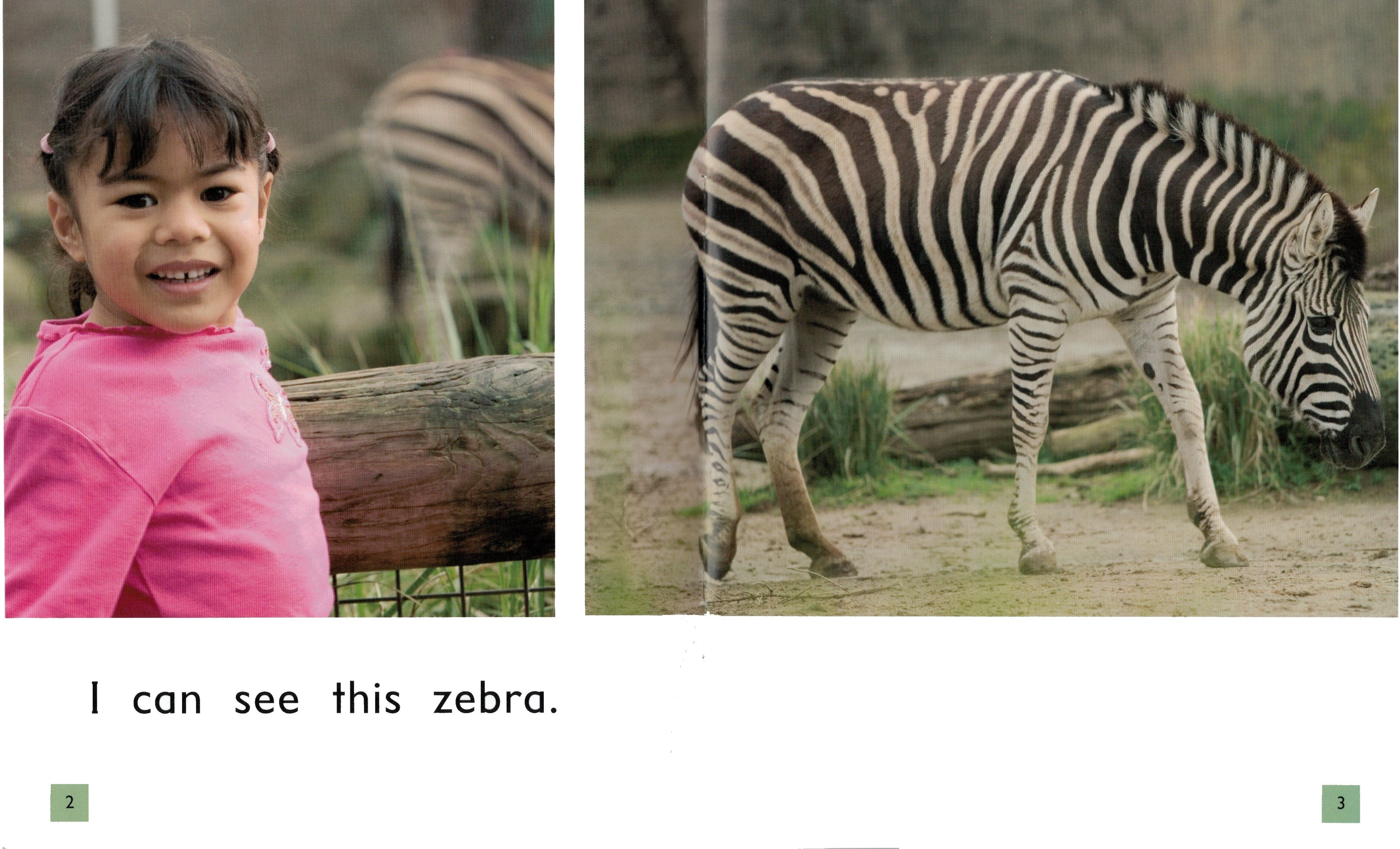 FS Level 01: Animals at the Zoo