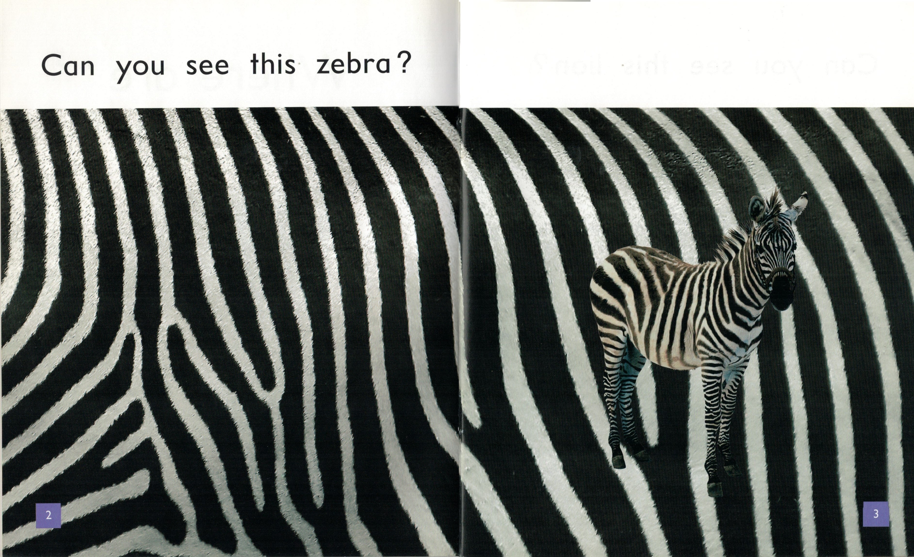 FS Level 01: Where are the Animals?