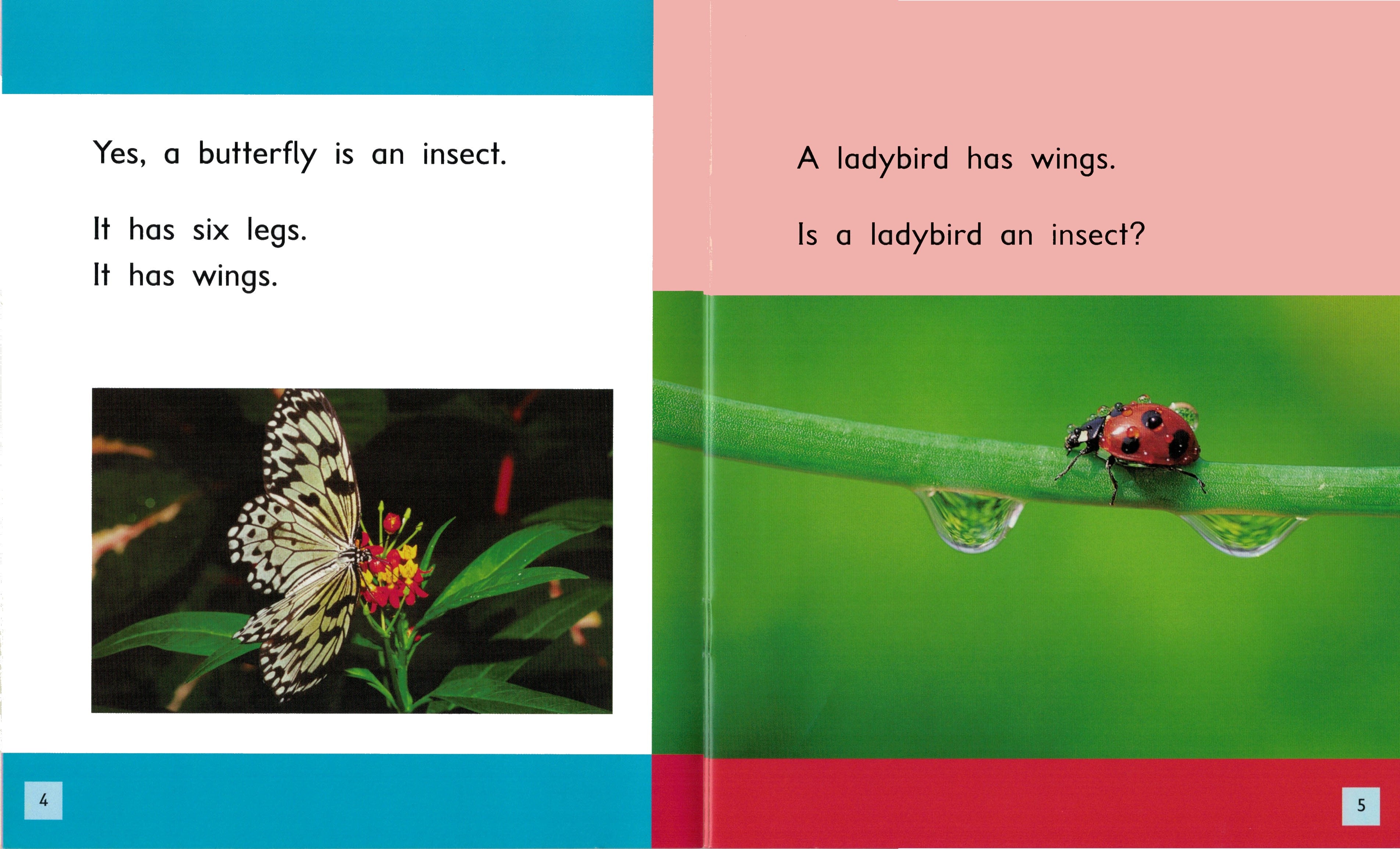 FS Level 7: Insects
