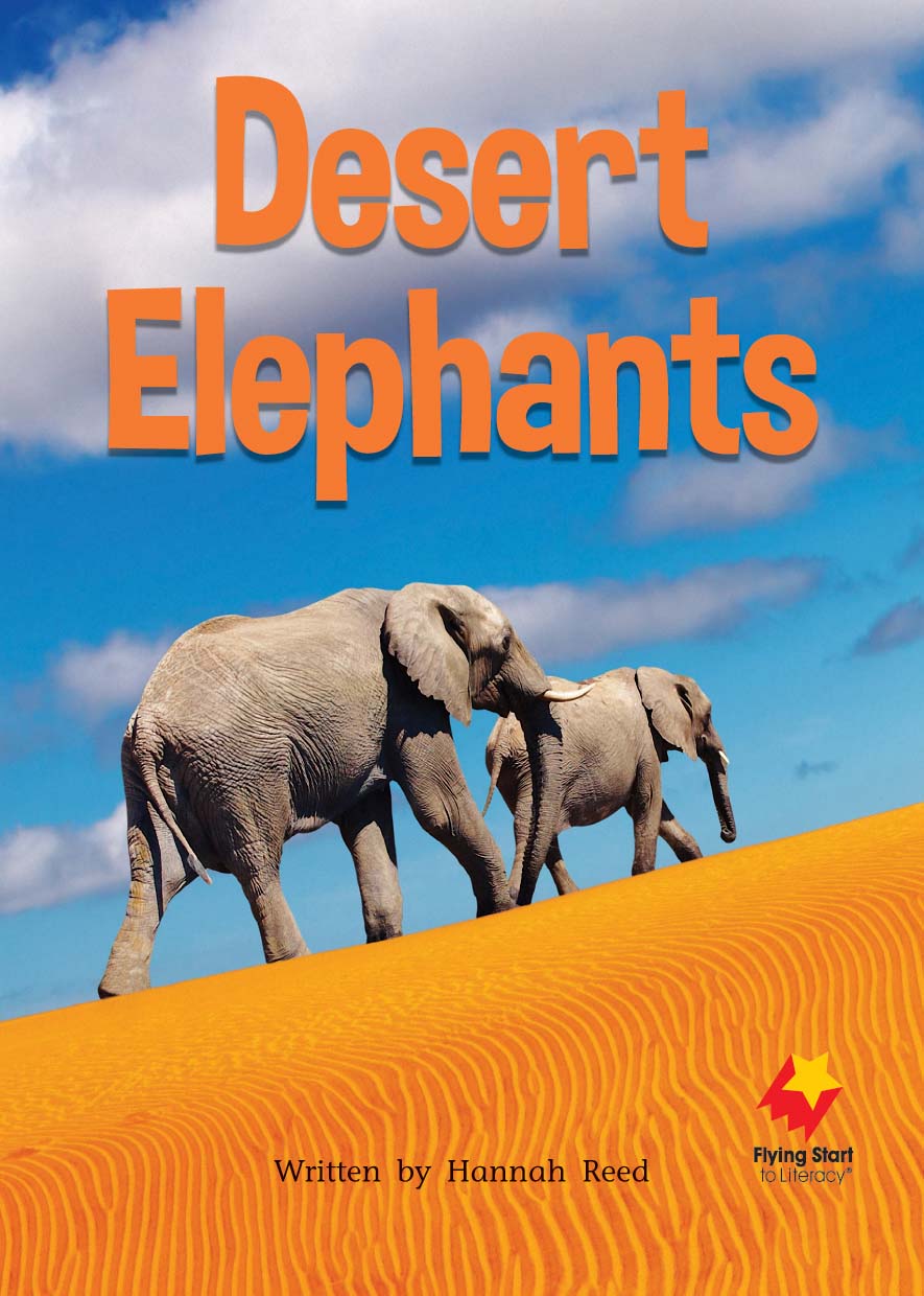 FS Level 18: Desert Elephants