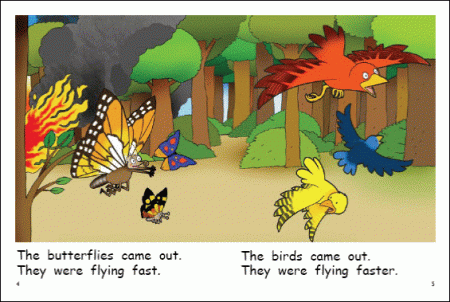 Red Rocket Early Level 2 Fiction B (Level 6): A Forest Fire