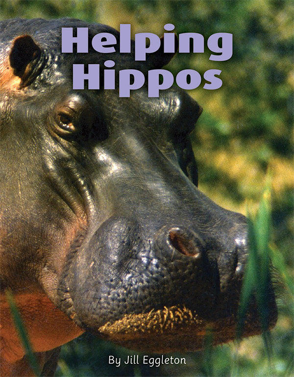 Into Connectors(L17-18): Helping Hippos
