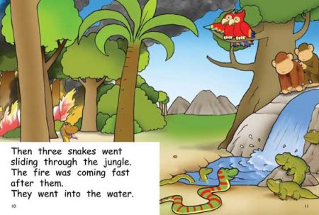 Red Rocket Early Level 4 Fiction C (Level 12): Jungle Fire