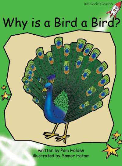 Red Rocket Early Level 4 Fiction B (Level 13): Why is a Bird a Bird?