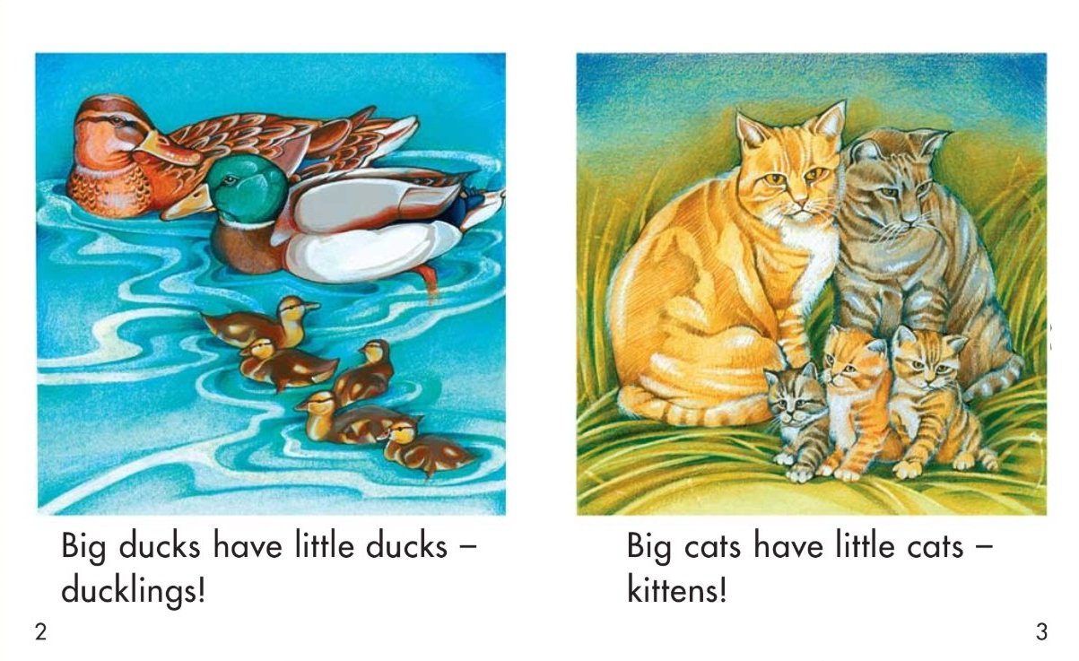 Sunshine Classics Level 3: Big and Little