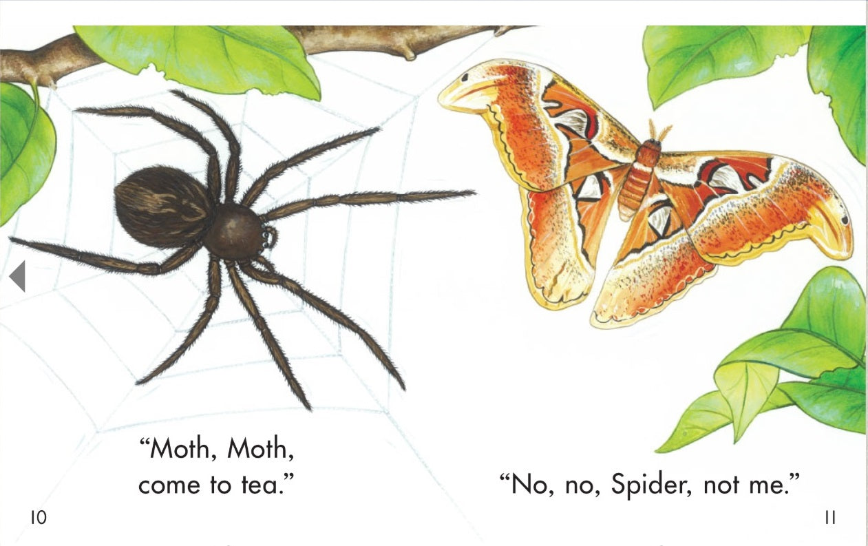 Sunshine Classics Level 4: Spider, Spider