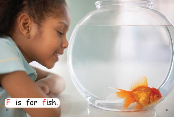 Red Rocket Pre-Reading Non Fiction C (Level 1): Look After Pets