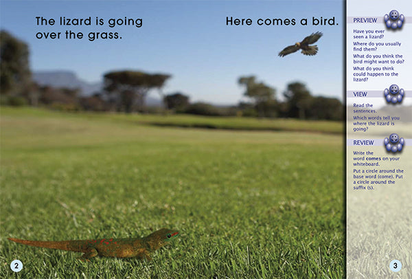 Key Links Red (Book 6, Level 3): Look! No Tail