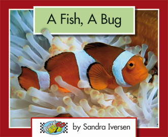Quick 60 Set 1, Level 4: A Fish, A Bug