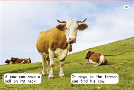 Red Rocket Early Level 3 Non Fiction C (Level 9): Ringing Bells